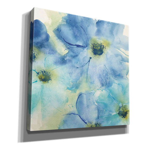 Image of 'Seashell Cosmos I' by Chris Paschke, Canvas Wall Art