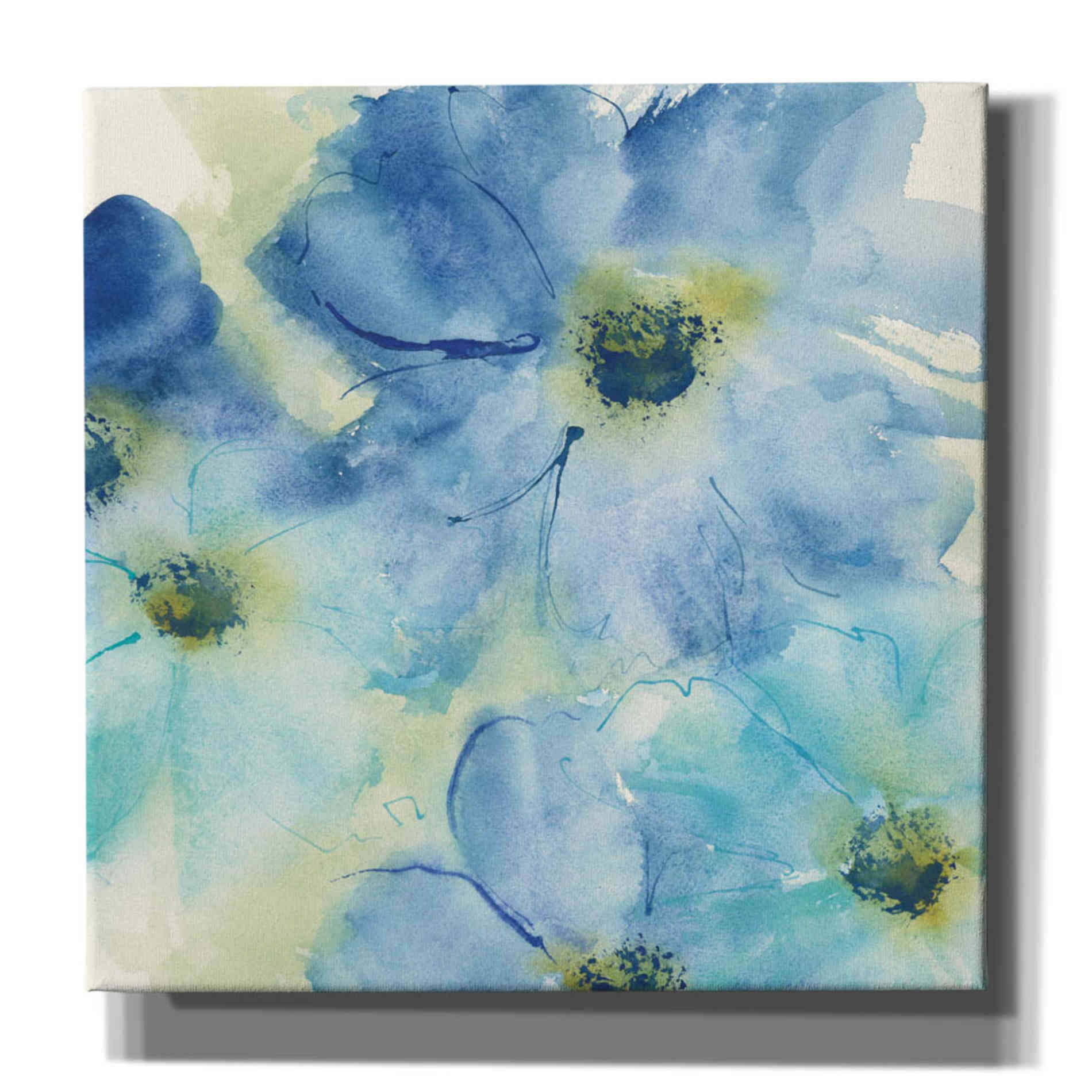 'Seashell Cosmos I' by Chris Paschke, Canvas Wall Art