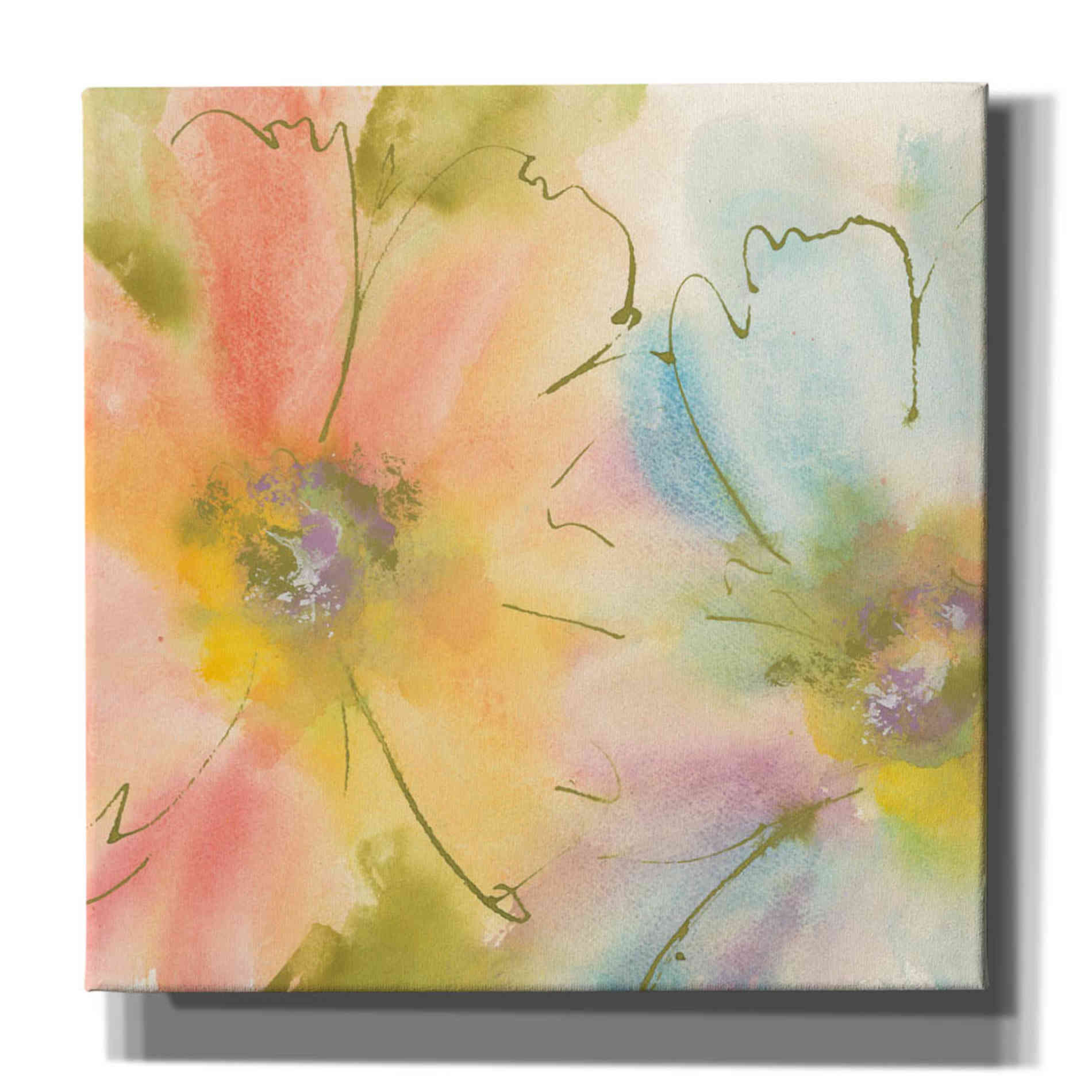 'Rainbow Cosmos I' by Chris Paschke, Canvas Wall Art