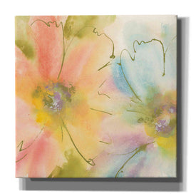 'Rainbow Cosmos I' by Chris Paschke, Canvas Wall Art