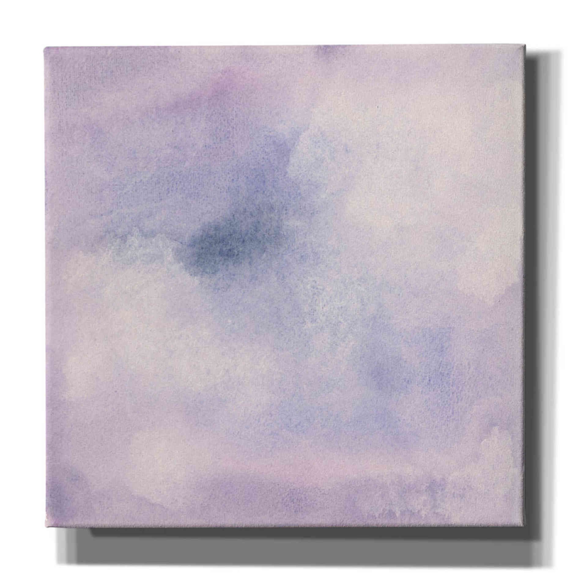 'Stargazer I' by Chris Paschke, Canvas Wall Art