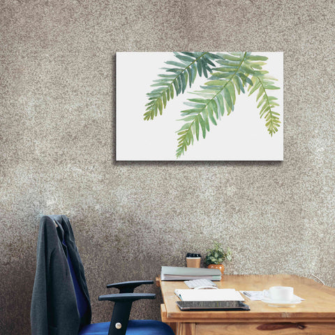 Image of 'Ferns I' by Chris Paschke, Canvas Wall Art,40 x 26