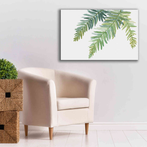 Image of 'Ferns I' by Chris Paschke, Canvas Wall Art,40 x 26