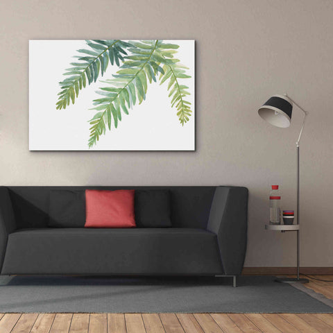 Image of 'Ferns I' by Chris Paschke, Canvas Wall Art,60 x 40