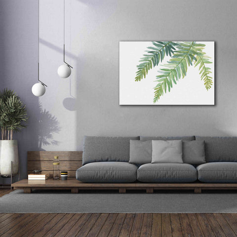 Image of 'Ferns I' by Chris Paschke, Canvas Wall Art,60 x 40