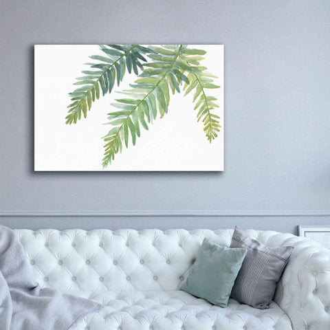 Image of 'Ferns I' by Chris Paschke, Canvas Wall Art,60 x 40