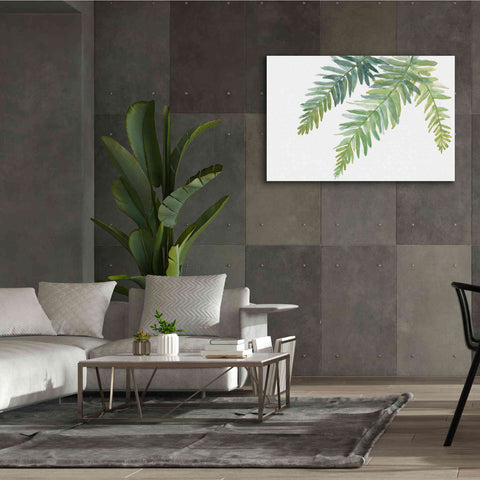 Image of 'Ferns I' by Chris Paschke, Canvas Wall Art,60 x 40