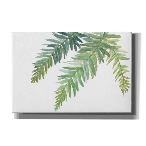 Image of 'Ferns I' by Chris Paschke, Canvas Wall Art