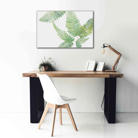 Image of 'Ferns II' by Chris Paschke, Canvas Wall Art,40 x 26