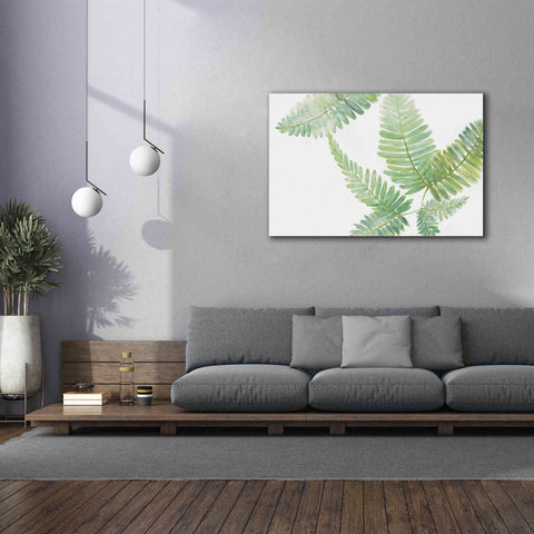 Image of 'Ferns II' by Chris Paschke, Canvas Wall Art,60 x 40