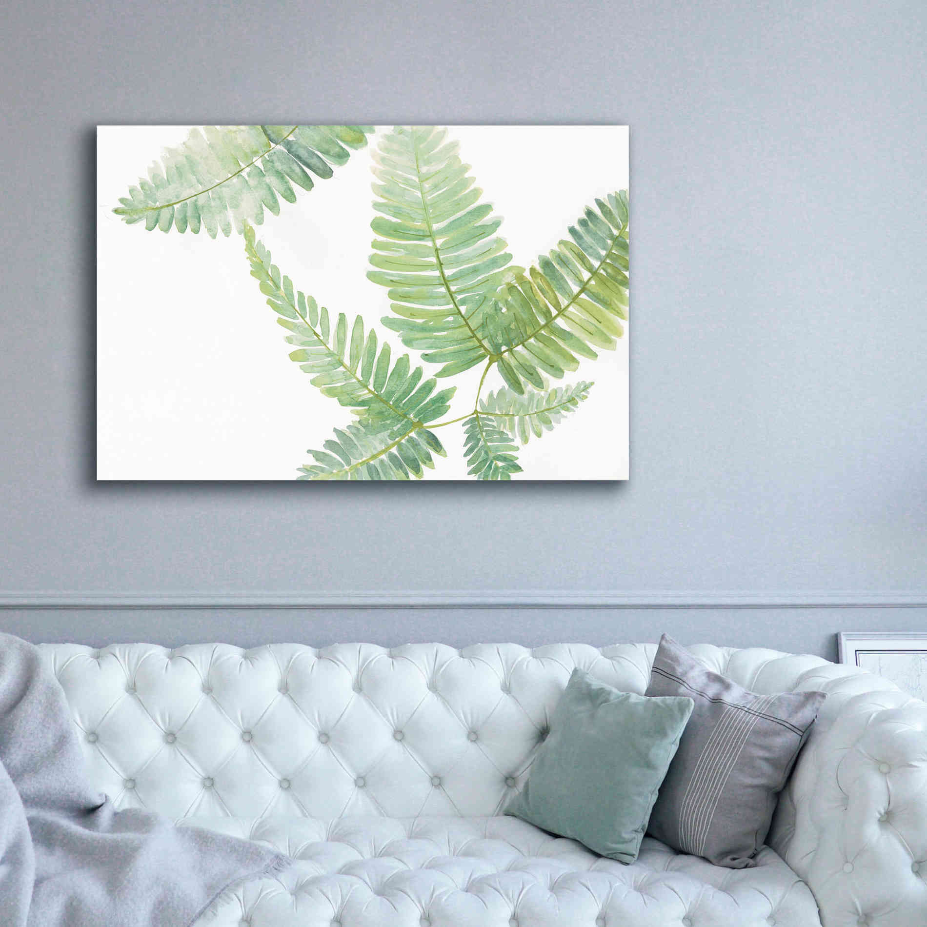 'Ferns II' by Chris Paschke, Canvas Wall Art,60 x 40