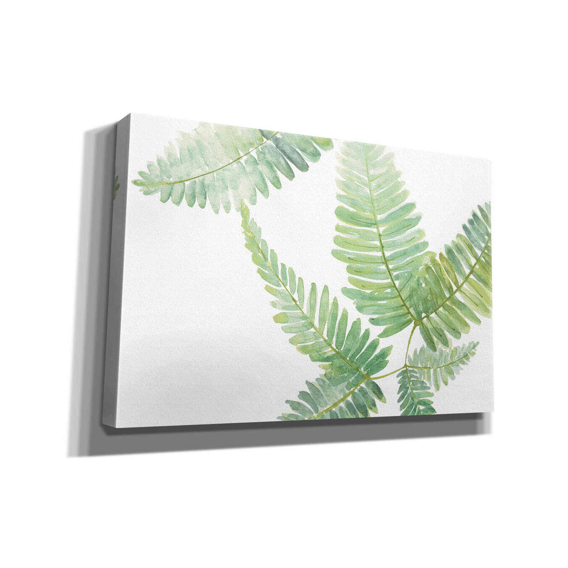 'Ferns II' by Chris Paschke, Canvas Wall Art