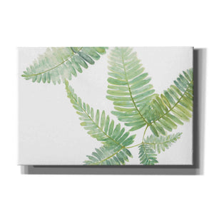 'Ferns II' by Chris Paschke, Canvas Wall Art