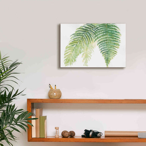 Image of 'Ferns III' by Chris Paschke, Canvas Wall Art,18 x 12