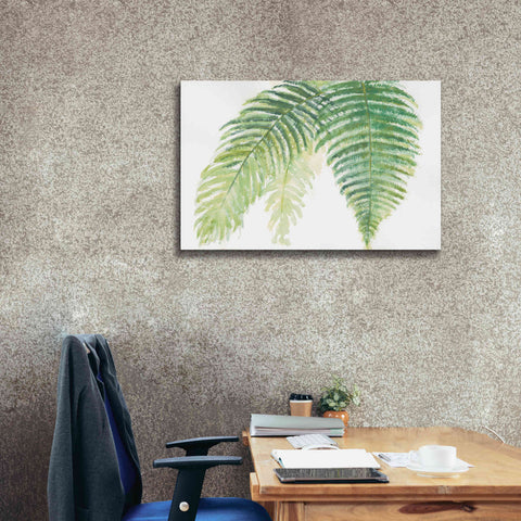 Image of 'Ferns III' by Chris Paschke, Canvas Wall Art,40 x 26