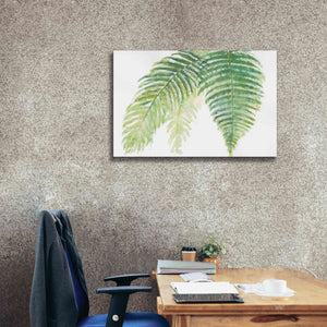 'Ferns III' by Chris Paschke, Canvas Wall Art,40 x 26