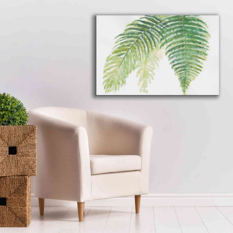 Image of 'Ferns III' by Chris Paschke, Canvas Wall Art,40 x 26