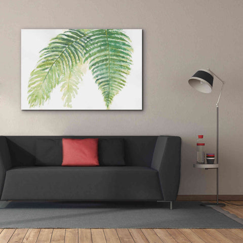 Image of 'Ferns III' by Chris Paschke, Canvas Wall Art,60 x 40