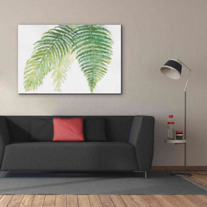 'Ferns III' by Chris Paschke, Canvas Wall Art,60 x 40