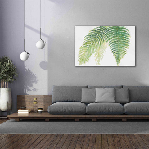 Image of 'Ferns III' by Chris Paschke, Canvas Wall Art,60 x 40