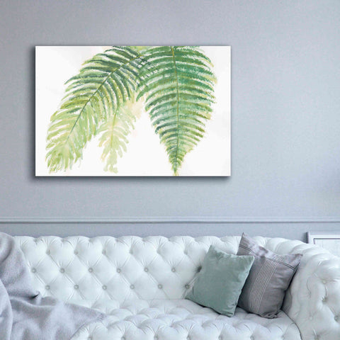 Image of 'Ferns III' by Chris Paschke, Canvas Wall Art,60 x 40