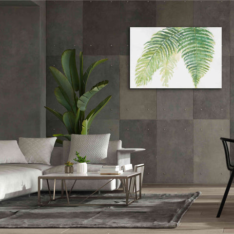 Image of 'Ferns III' by Chris Paschke, Canvas Wall Art,60 x 40