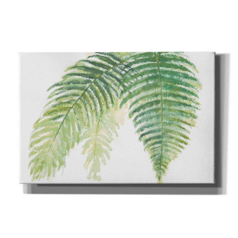 Image of 'Ferns III' by Chris Paschke, Canvas Wall Art