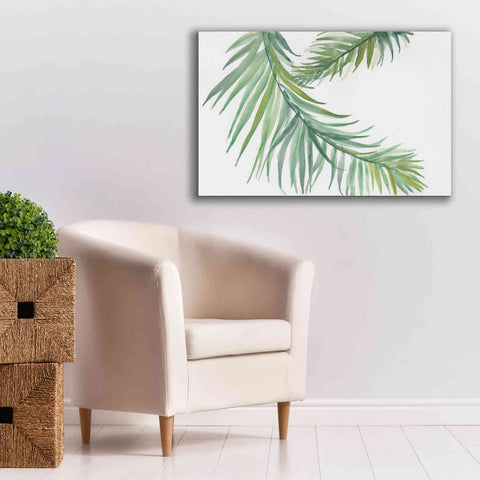 Image of 'Ferns IV' by Chris Paschke, Canvas Wall Art,40 x 26