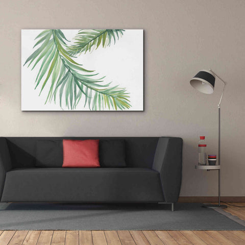 Image of 'Ferns IV' by Chris Paschke, Canvas Wall Art,60 x 40