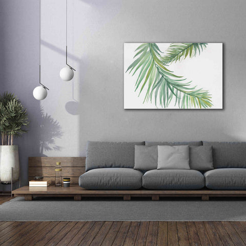 Image of 'Ferns IV' by Chris Paschke, Canvas Wall Art,60 x 40