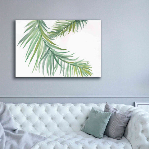 Image of 'Ferns IV' by Chris Paschke, Canvas Wall Art,60 x 40