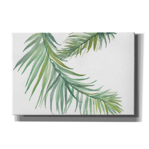 Image of 'Ferns IV' by Chris Paschke, Canvas Wall Art