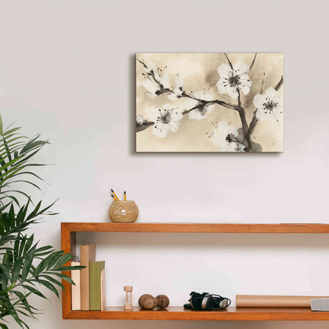 Image of 'Spring Blossoms I' by Chris Paschke, Canvas Wall Art,18 x 12