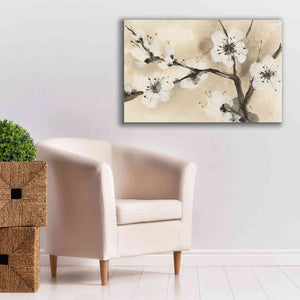 'Spring Blossoms I' by Chris Paschke, Canvas Wall Art,40 x 26