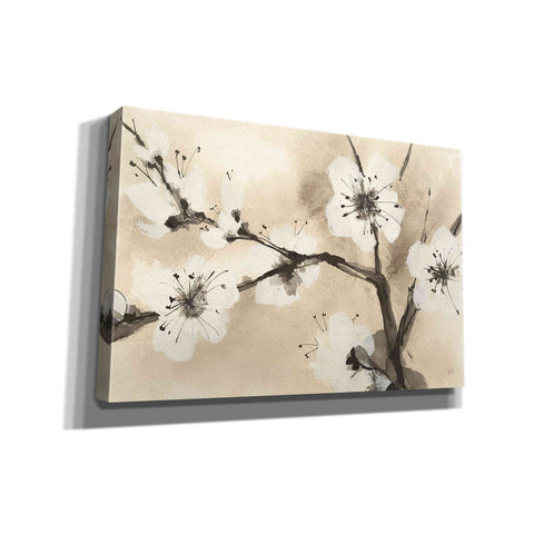 Image of 'Spring Blossoms I' by Chris Paschke, Canvas Wall Art