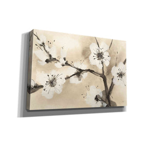 'Spring Blossoms I' by Chris Paschke, Canvas Wall Art