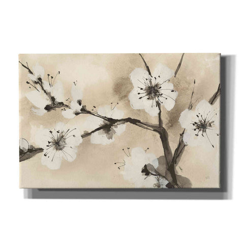 Image of 'Spring Blossoms I' by Chris Paschke, Canvas Wall Art