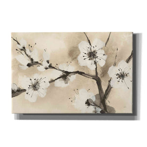 'Spring Blossoms I' by Chris Paschke, Canvas Wall Art