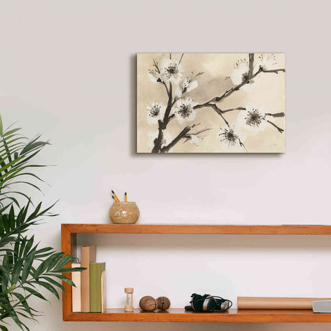 Image of 'Spring Blossoms II' by Chris Paschke, Canvas Wall Art,18 x 12