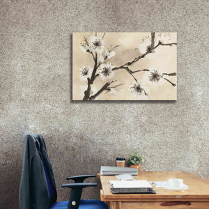 'Spring Blossoms II' by Chris Paschke, Canvas Wall Art,40 x 26