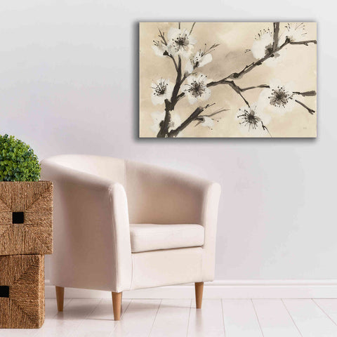 Image of 'Spring Blossoms II' by Chris Paschke, Canvas Wall Art,40 x 26