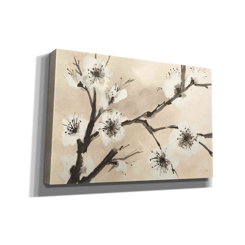 Image of 'Spring Blossoms II' by Chris Paschke, Canvas Wall Art