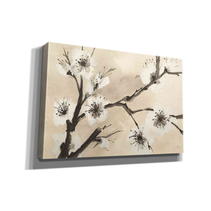 'Spring Blossoms II' by Chris Paschke, Canvas Wall Art