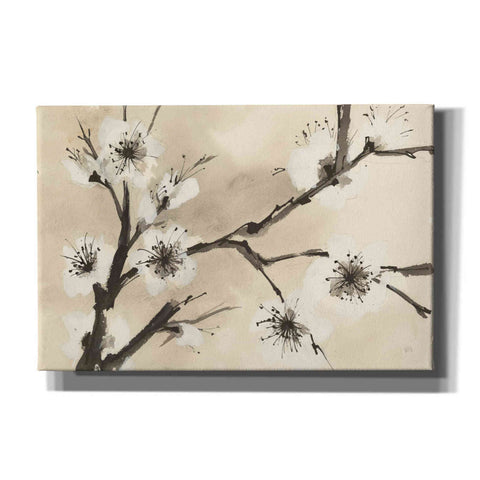 Image of 'Spring Blossoms II' by Chris Paschke, Canvas Wall Art