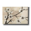 'Spring Blossoms II' by Chris Paschke, Canvas Wall Art