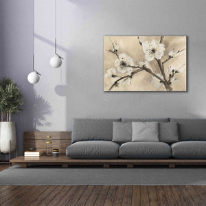 'Spring Blossoms III' by Chris Paschke, Canvas Wall Art,60 x 40