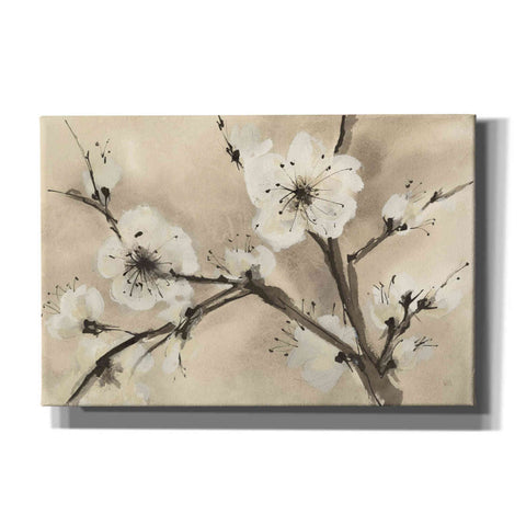 Image of 'Spring Blossoms III' by Chris Paschke, Canvas Wall Art