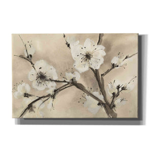 'Spring Blossoms III' by Chris Paschke, Canvas Wall Art