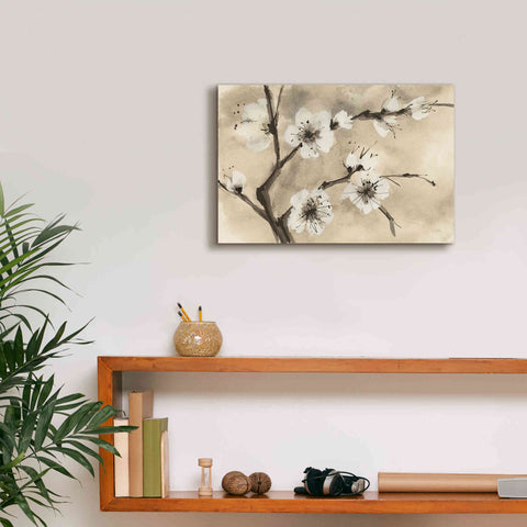 Image of 'Spring Blossoms IV' by Chris Paschke, Canvas Wall Art,18 x 12