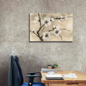 'Spring Blossoms IV' by Chris Paschke, Canvas Wall Art,40 x 26